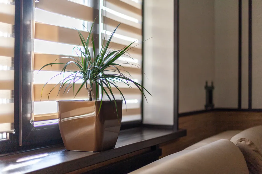 Просторная квартира рядом с Автовокзалом и ТЦ Космопорт