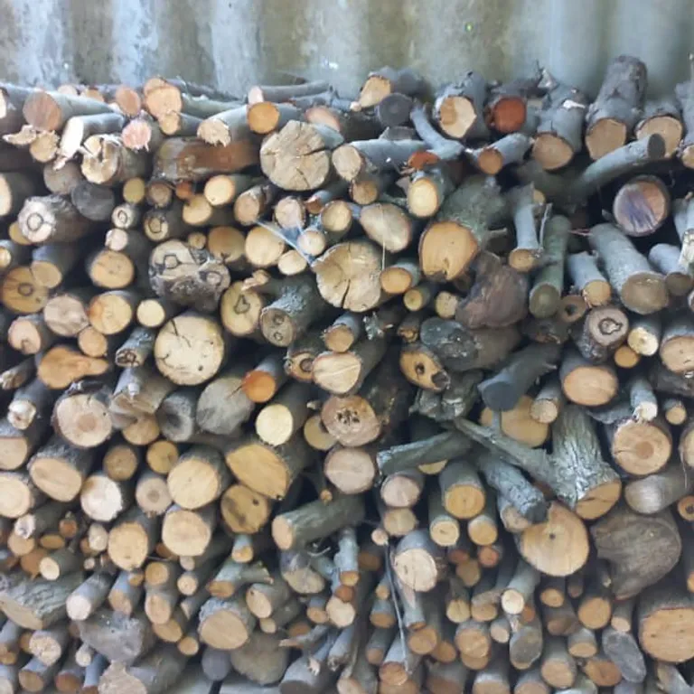 Новая дача, рядом с морем