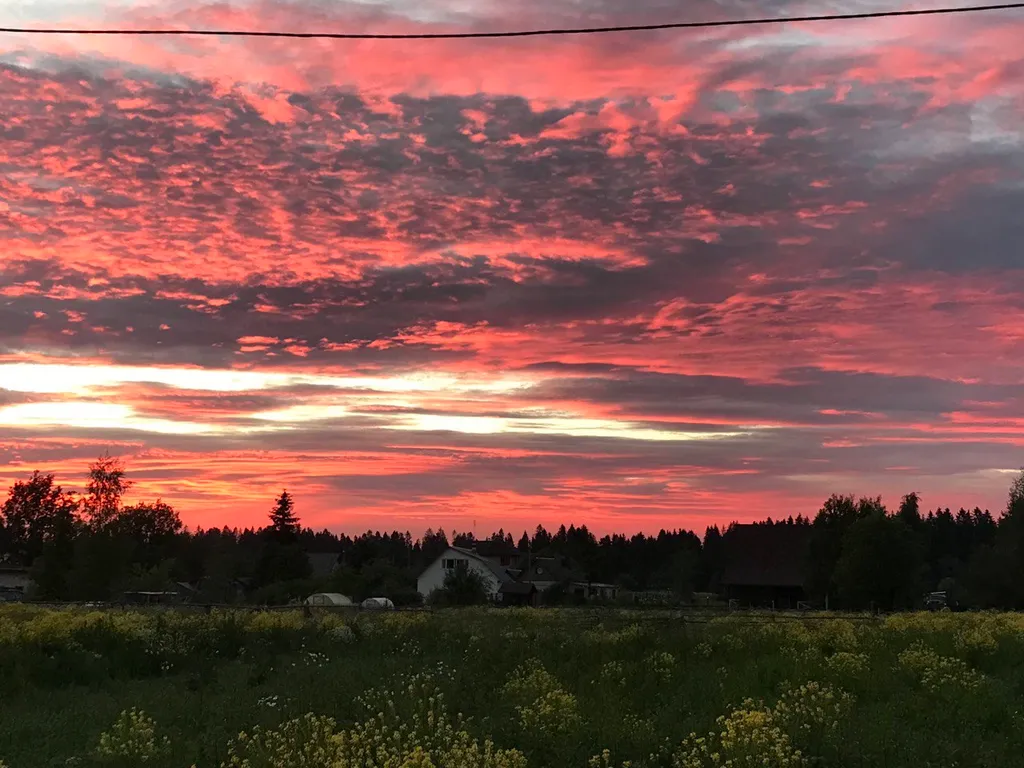 Коттедж Новый уютный коттедж — Войсковицы