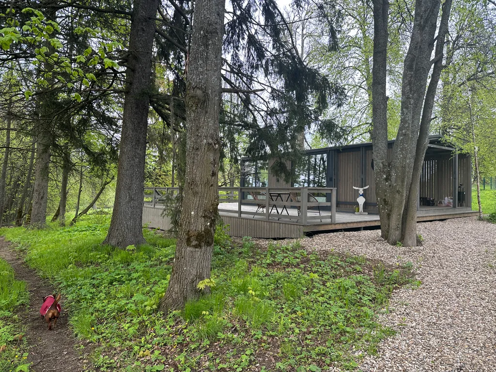 Коттедж Домик Хирви уютный коттедж на отдельном участке с вековыми деревьями — Москва