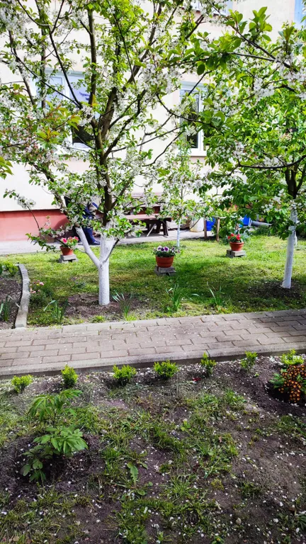 Квартира Квартира с мангальной зоной — Зеленоградск