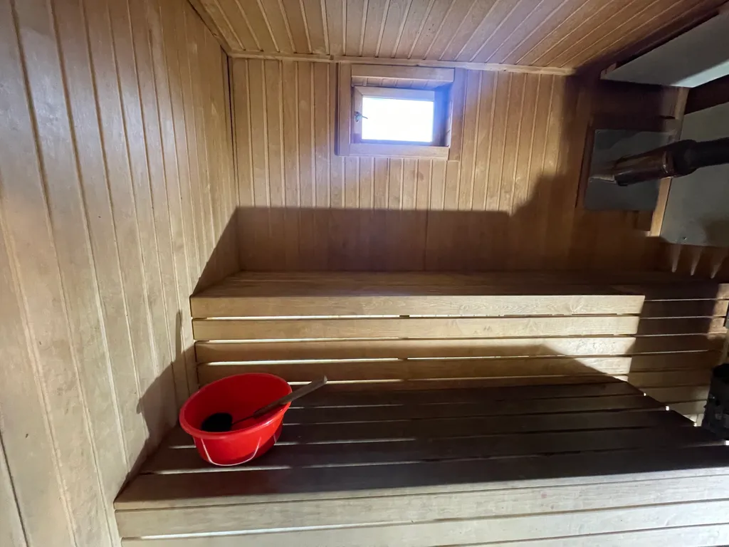 Лесная сказка