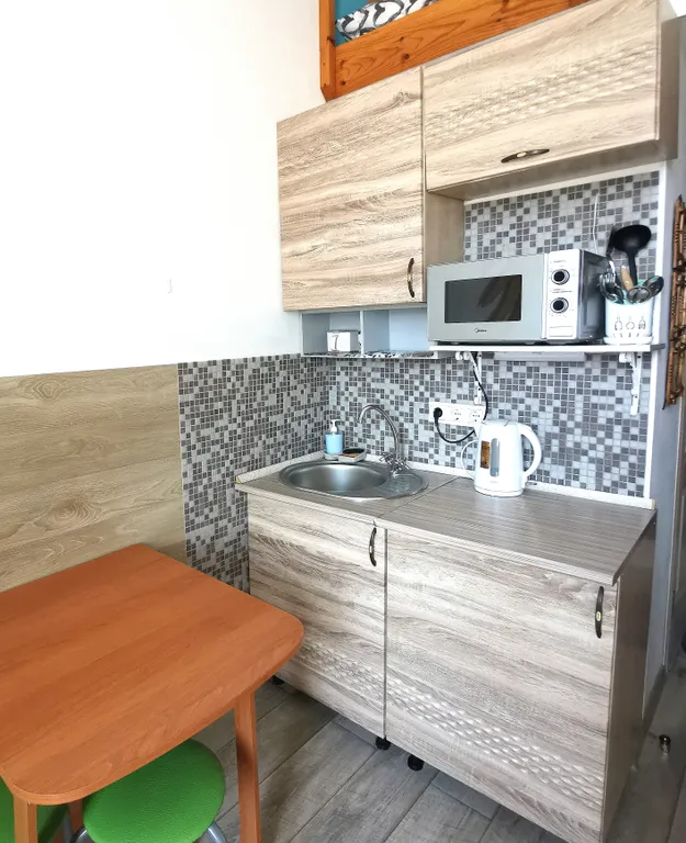 Студия в центре с видом на Золотой Мост