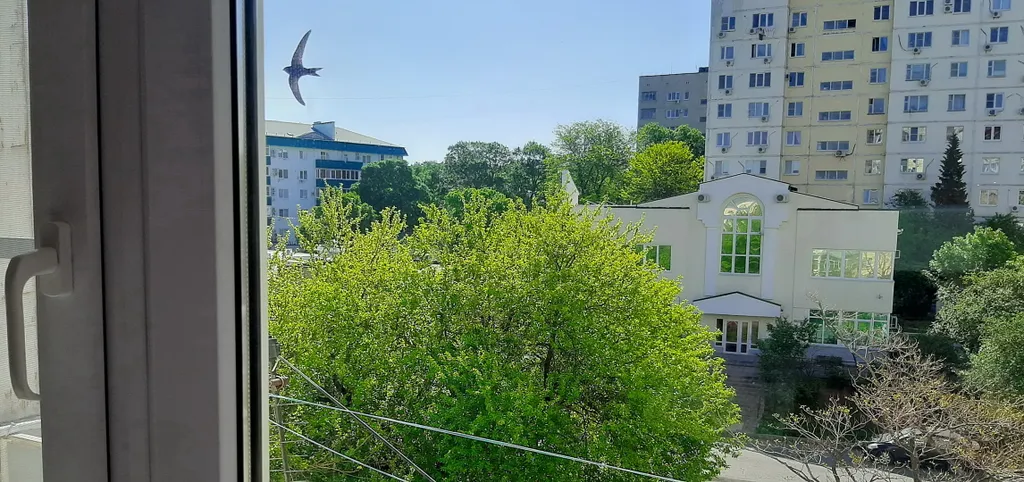 Квартира Квартира на Толстом Мысу между бухтой и открытым морем — Геленджик