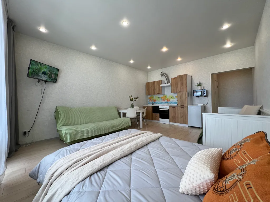 Студия с видом на аэропорт какдома