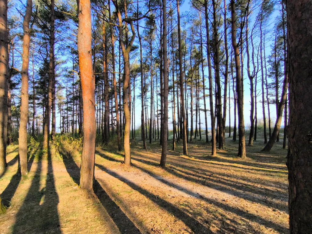 Коттедж Уютный дом на Балтийском море — Зеленоградск