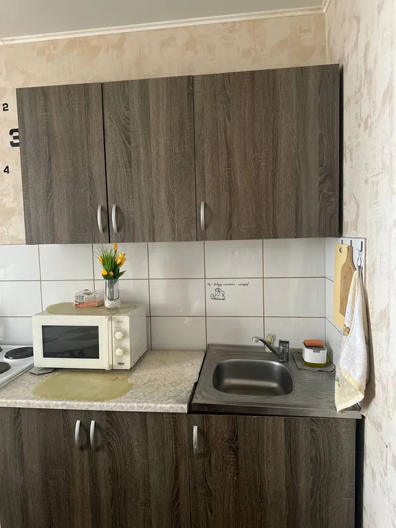 Уютная квартира в ЖК Дельфин на берегу Воронежского водохранилища