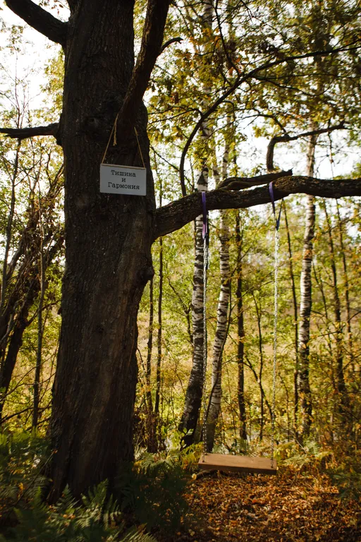 Дом Скандинавия Лес