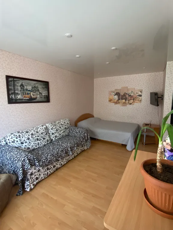 Уютная квартира на первом этаже в центре города