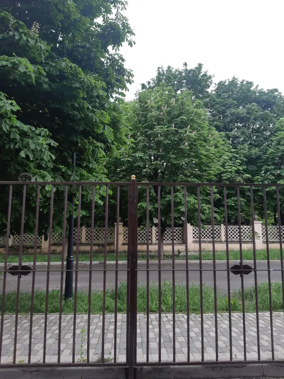 Двушка с видом на парк