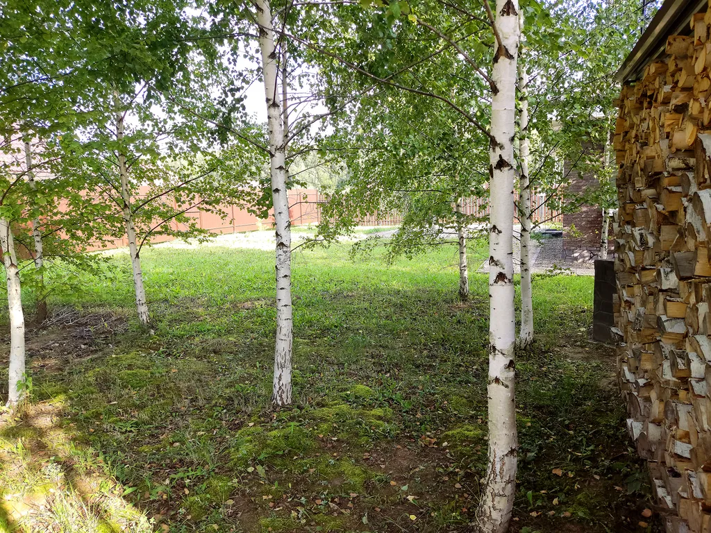 Загородный дом вместо отеля рядом с Нижним Новгородом