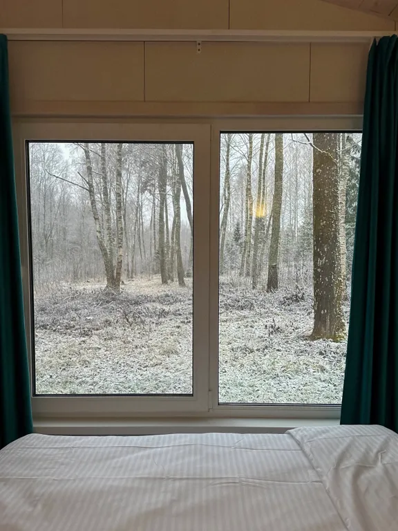 Уютный дом нa бeрегу лесногo озeра 2