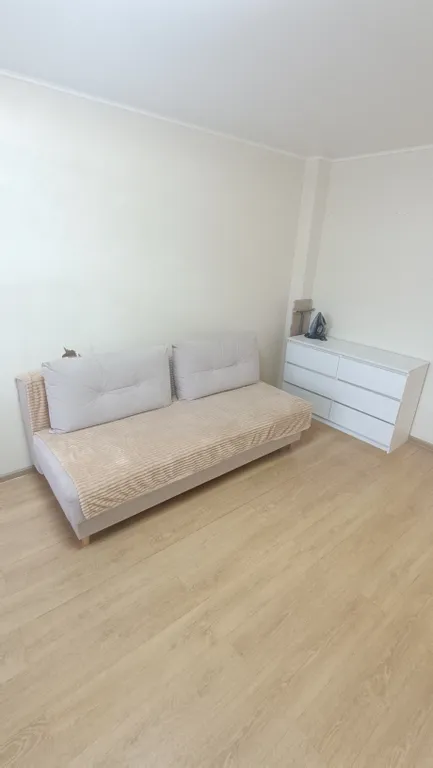 1-комнтаная квартира в географическом центре города