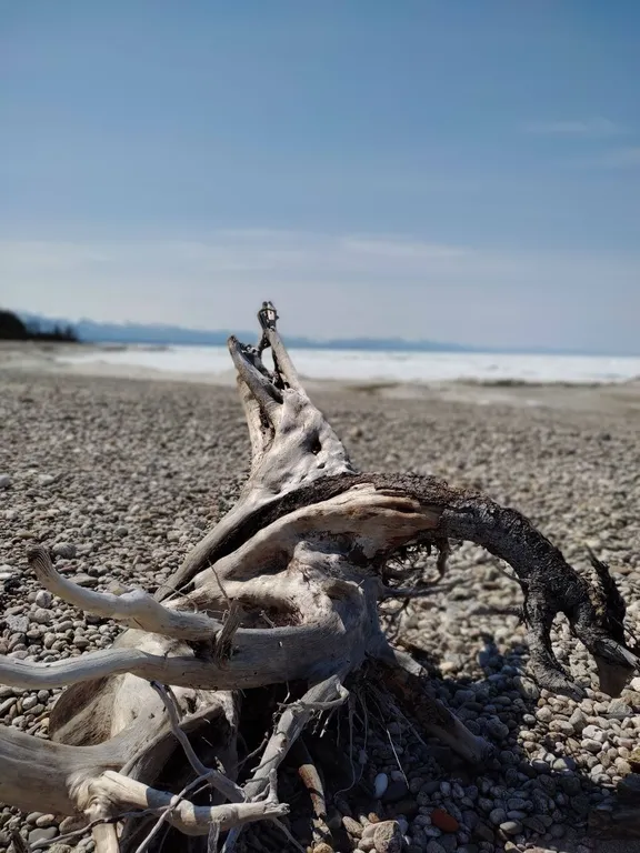 Бурундуки - уютный дом на Байкале на границе заповедника