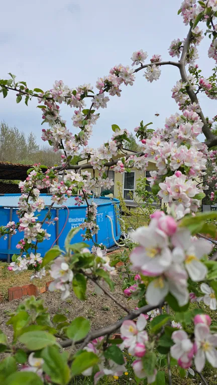 Уютный новый дом у моря