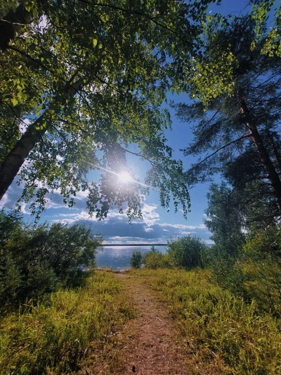 Уютный дом с прекрасным видом на лес и озеро