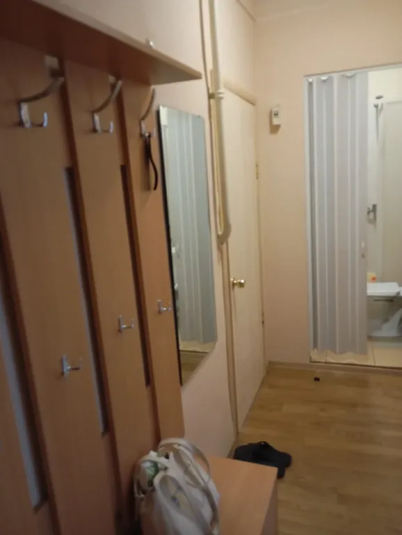 Квартира Уютная квартира в центре города — Светлогорск