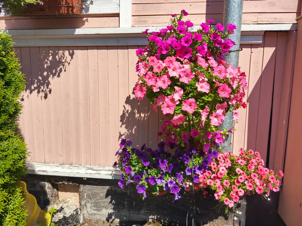 Квартира Квартира в тихом центре города со своей парковкой — Сортавала