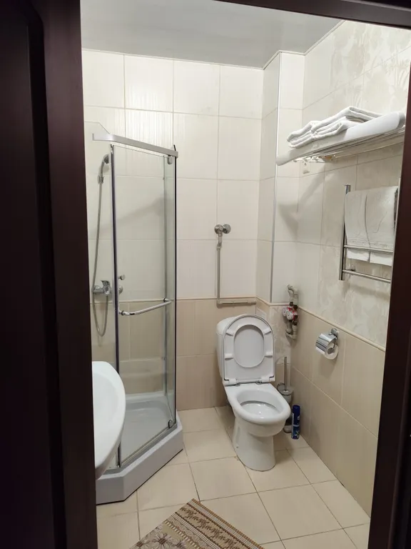 Двухкомнатные апартаменты в апарт-отеле Афалина