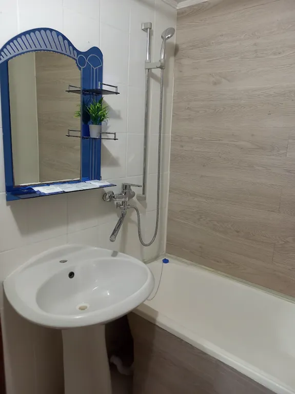 Звёздный спутник