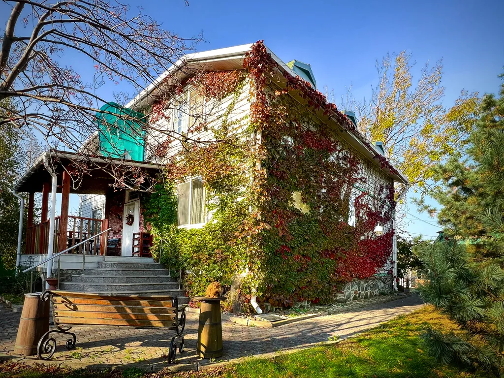 Дом отдыха и развлечений American House