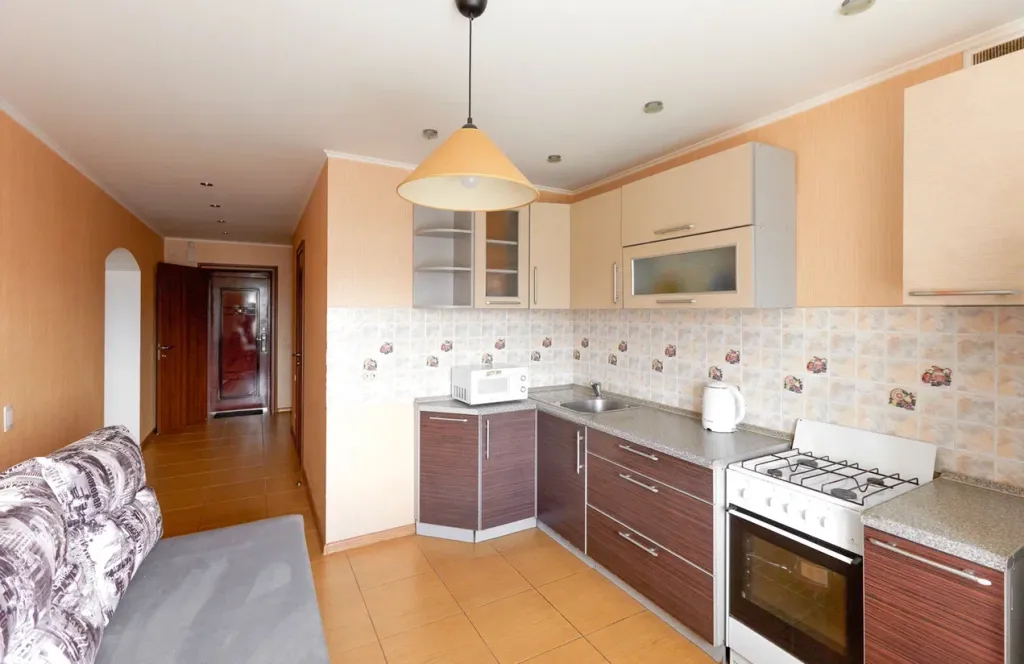 Большой 1-комнатной квартиры с видом на парк и реку