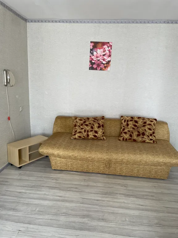 Уютная однокомнатная квартира в центре города