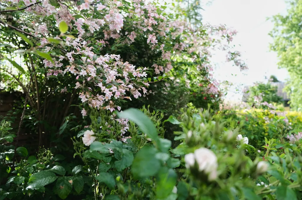 АРТ- хижина для двоих