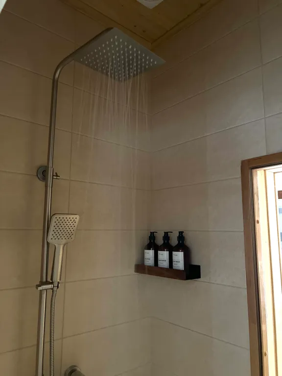 С сауной и камином одноэтажный барн в березовой роще