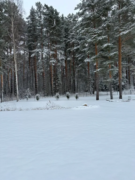Коттедж Дом у леса — Порхово
