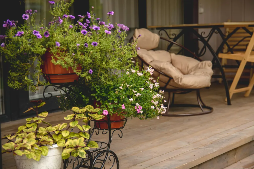 Новый домик для отдыха в сосновом бору Бунырево