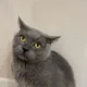 Виктор