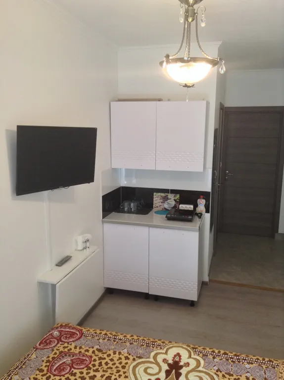 Квартира Комната с кухонным уголком и санузлом с душем — Санкт-Петербург