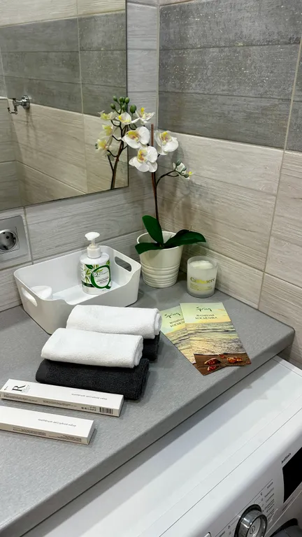 Квартира Квартира в сказочном Светлогорске с видом на лес под пение птиц — Светлогорск