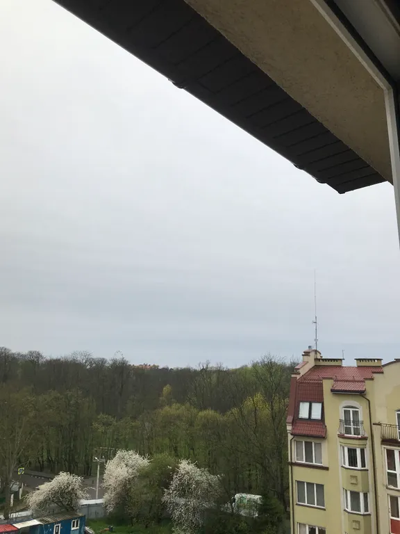 Квартира Квартира Домашний уют, комфорт — Зеленоградск