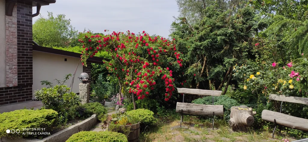 Дачная студия