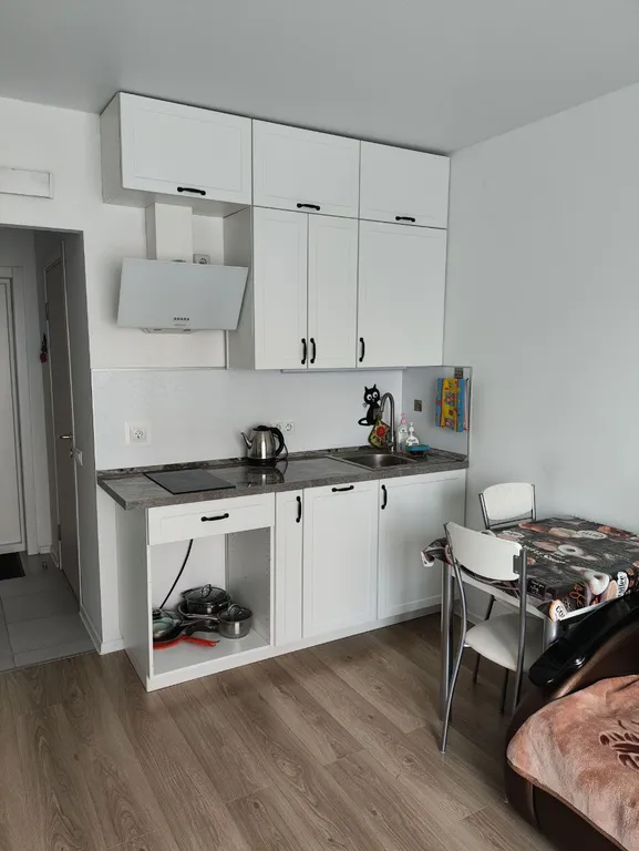 Уютная светлая студия в доме с закрытой территорий