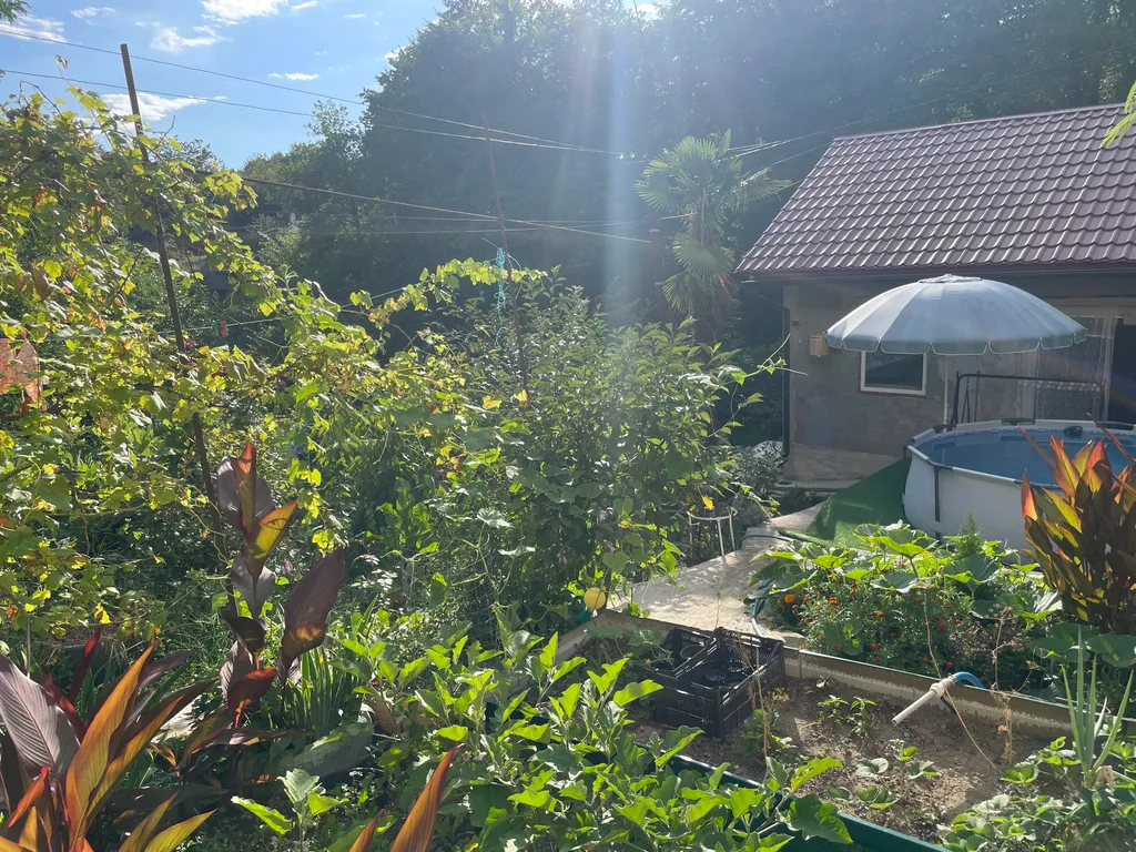 Коттедж Домик в лесу — Сочи