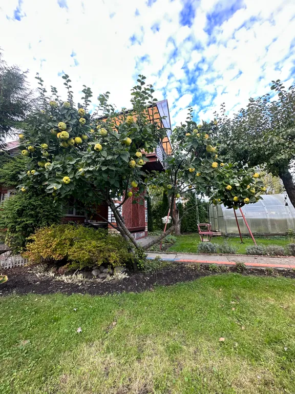 Гостевой дом Пани Ева