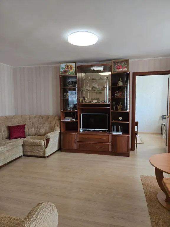 Petri Šemeikka Square apartment