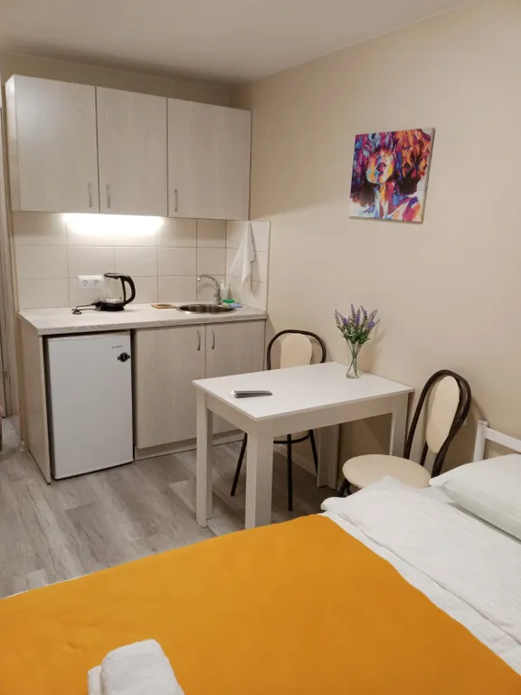 Квартира Уютная комната-студия в центре ждет Вас — Владивосток