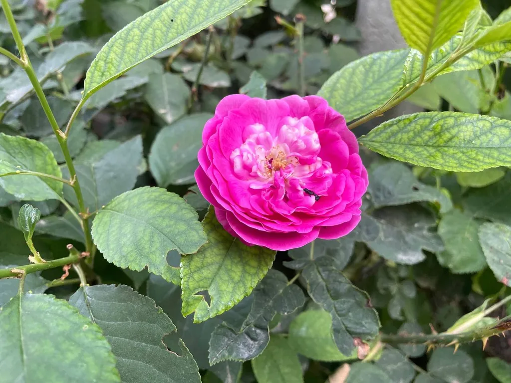 Уютный гостевой домик For Two