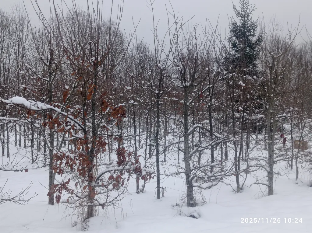 Апартаменты с камином