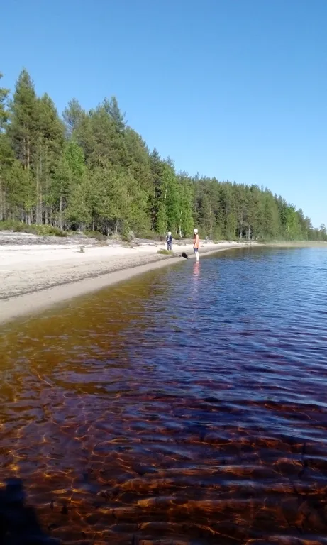 Дом на берегу с баней и лодкой