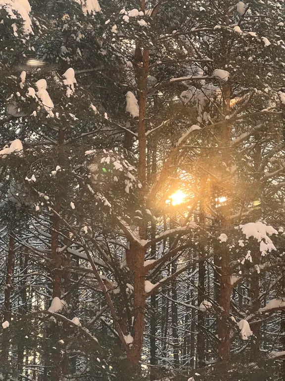 Апартаменты Калинка Парк