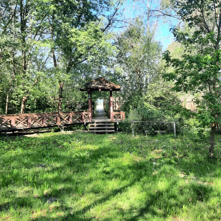 Уютный домик на берегу озера Себеж