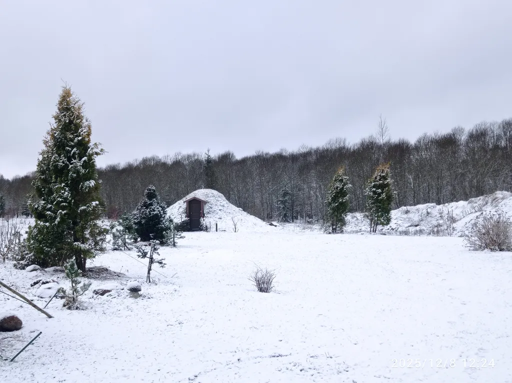 Апартаменты с камином