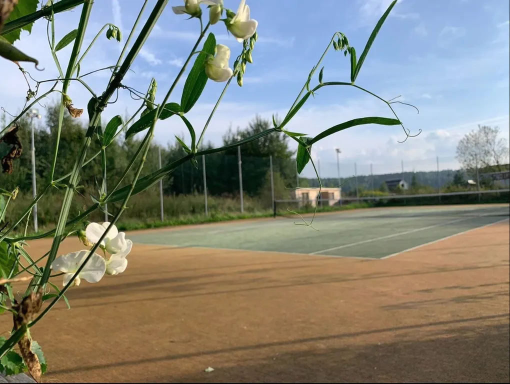 Эколофт с теннисным кортом недалеко от реки Москвы с сауной, камином