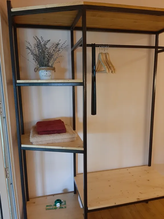 Кактус у моря