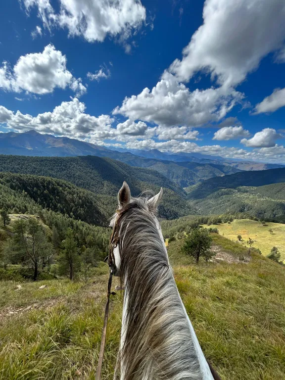 Уютные коттеджи с видом на Эльбрус
